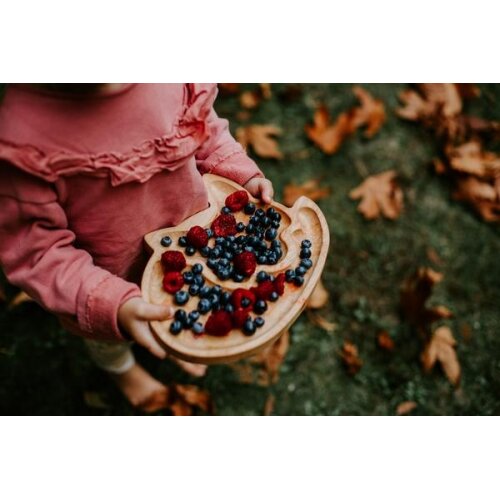 Dětský dřevěný talíř z kanadského javoru – Liška