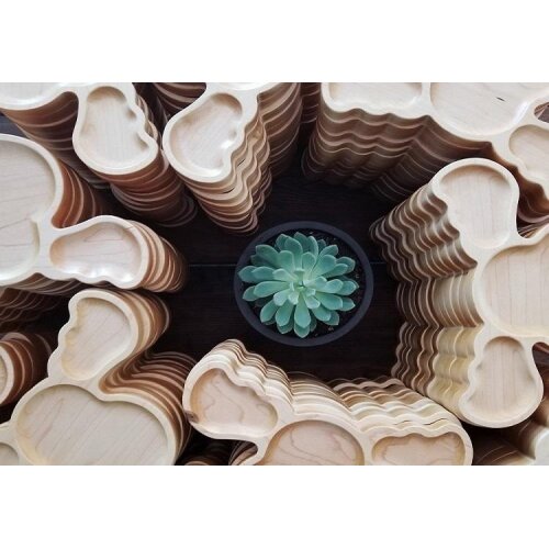 Dětský dřevěný talíř z kanadského javoru – Sob